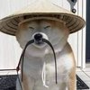 Avatar of nhan2323