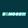 Avatar of bong88ns
