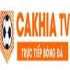 Avatar of cakhiatvgifts