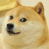 Avatar of sluzhba87