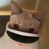 Avatar of CakeClicker