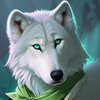 Avatar of Ace_the_Snow_Wolf