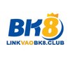 Avatar of Link vào bk8