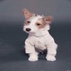Avatar of hungnguye97