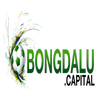 Avatar of Bongdalu Capital