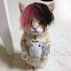 Avatar of motionkitt