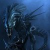 Avatar of Alien345