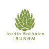 Avatar of JB-IBUNAM