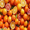 Avatar of FreeMacSamples
