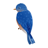 Avatar of stella0099
