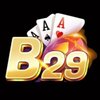 Avatar of B29