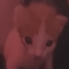 Avatar of KristianIsOn