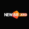 Avatar of new88krd