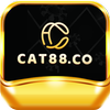 Avatar of cat88co