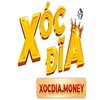 Avatar of XOCDIA