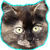Avatar of SavchenkoGamesDev