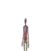 Avatar of hagos606