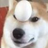 Avatar of micahstempfley10
