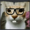 Avatar of mukaori007