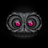 Avatar of Night Owl Studio