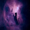Avatar of evansyt4210