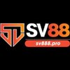 Avatar of SV88