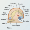 Avatar of af6717356