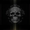 Avatar of Hammer 7769
