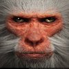 Avatar of volkanytr