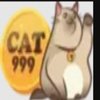 Avatar of cat999kim