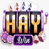 Avatar of Haywin1 guru