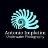 Avatar of antonio_implatini