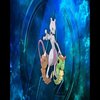 Avatar of Ragingbolt