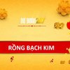 Avatar of Rồng Bạch Kim 247