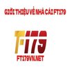 Avatar of ft179vn