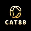 Avatar of Cat88