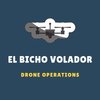 Avatar of El bicho volador