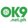 Avatar of ok9netpe