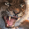 Avatar of TigerZ