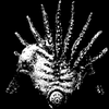Avatar of SonsOfBBoss1998