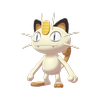 Avatar of elephantshrew