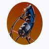 Avatar of ZeRealSpone