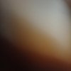Avatar of ravikefact70