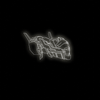 Avatar of kawakinest