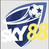 Avatar of sky88blue