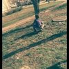 Avatar of Bence.Szemes