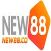 Avatar of New88