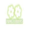 Avatar of livingflowermelbourne