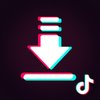 Avatar of Snaptik VN