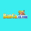 Avatar of bancacncom